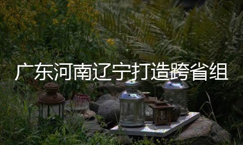 打造队跨省河南 宁组合泽涛接力有望广东入选辽宁三省